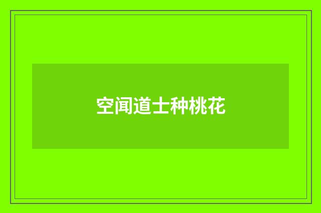 空闻道士种桃花