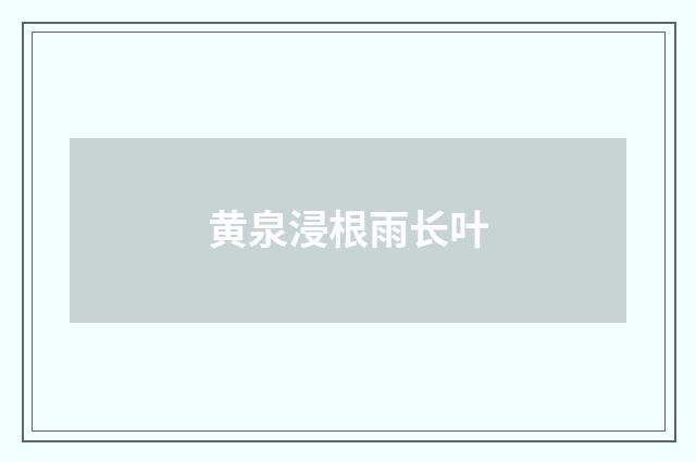 黄泉浸根雨长叶