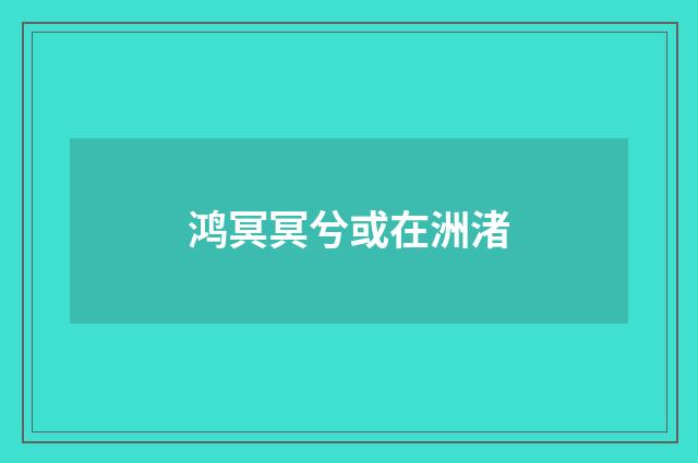鸿冥冥兮或在洲渚