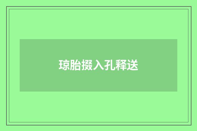 琼胎掇入孔释送