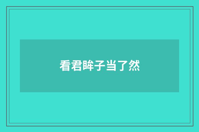 看君眸子当了然