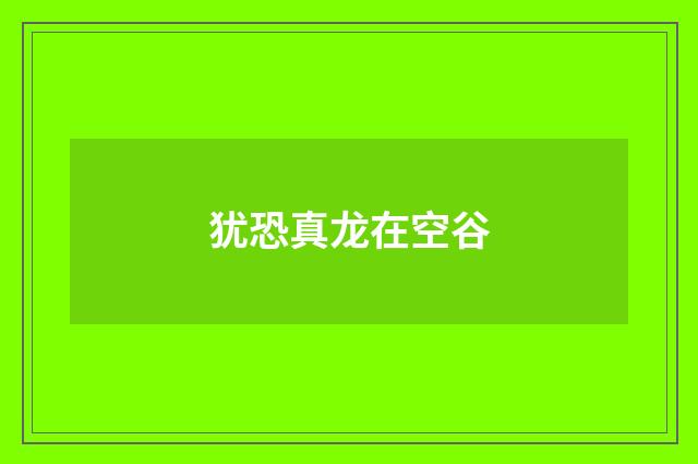 犹恐真龙在空谷