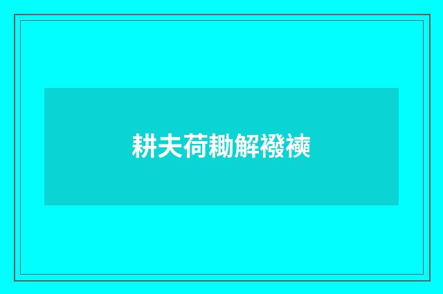 耕夫荷耡解襏襫