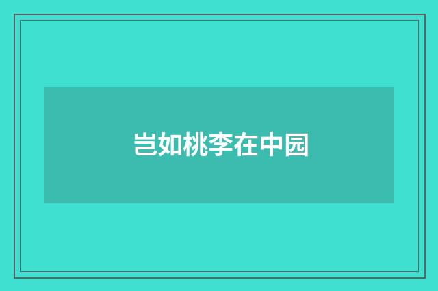 岂如桃李在中园