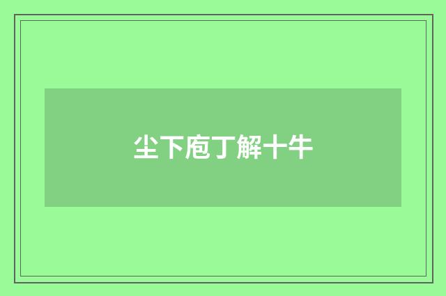 尘下庖丁解十牛