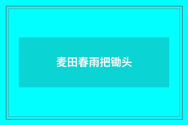 麦田春雨把锄头