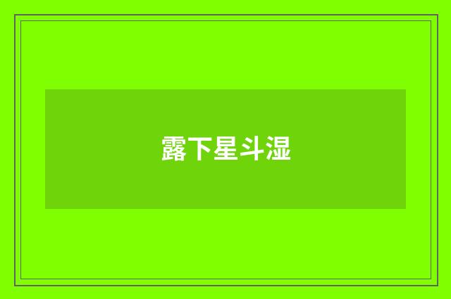 露下星斗湿