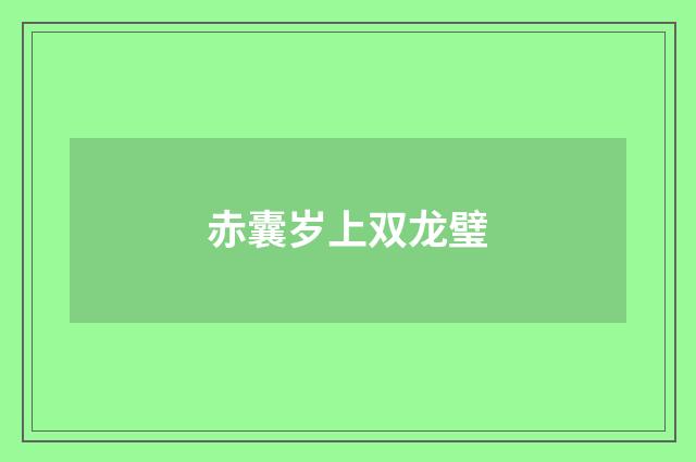 赤囊岁上双龙璧