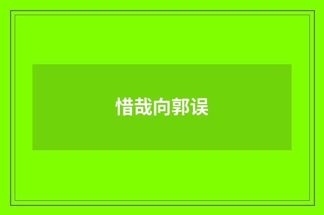 惜哉向郭误