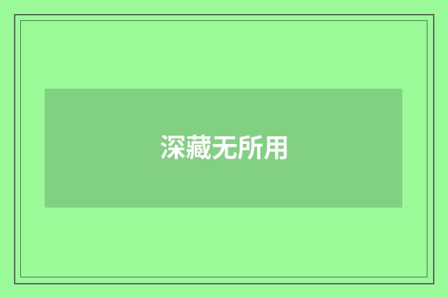 深藏无所用