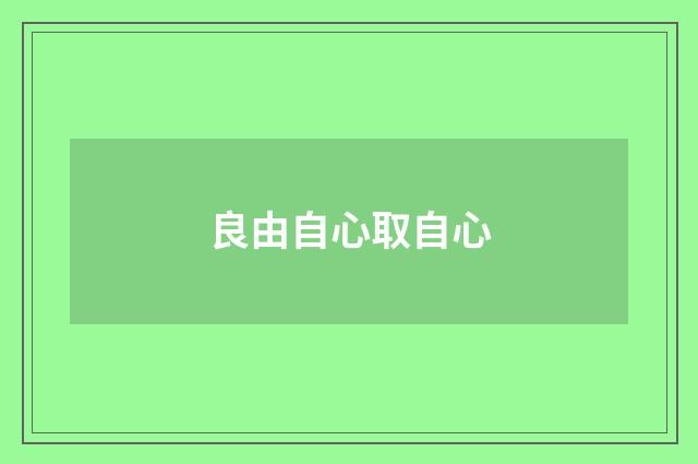 良由自心取自心