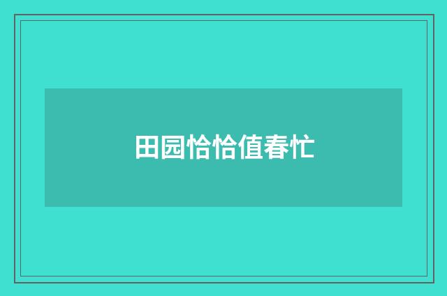 田园恰恰值春忙