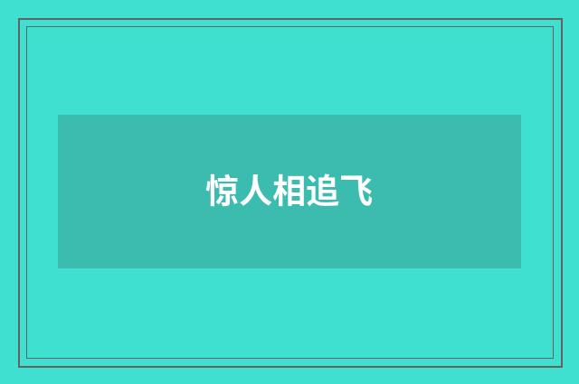 惊人相追飞