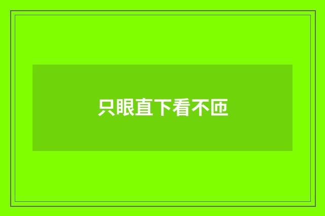 只眼直下看不匝
