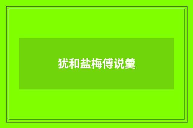 犹和盐梅傅说羹