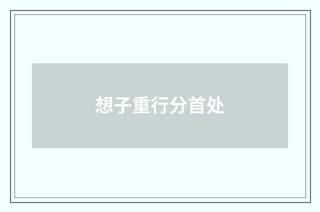 想子重行分首处