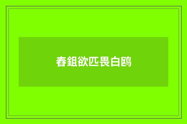 舂鉏欲匹畏白鸥
