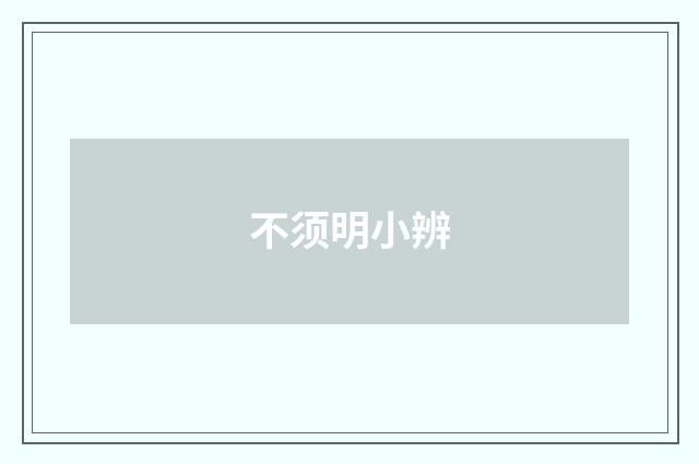 不须明小辨