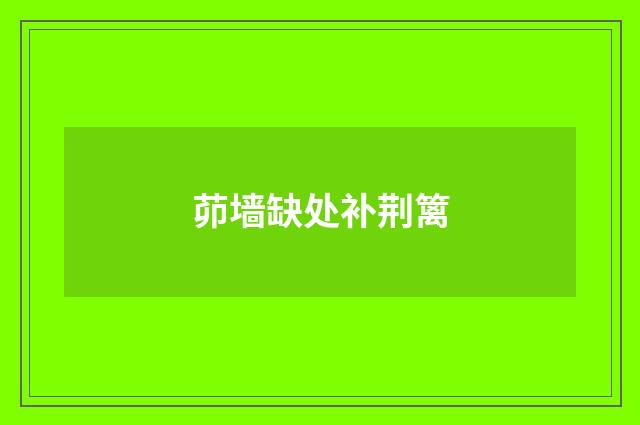 茆墙缺处补荆篱