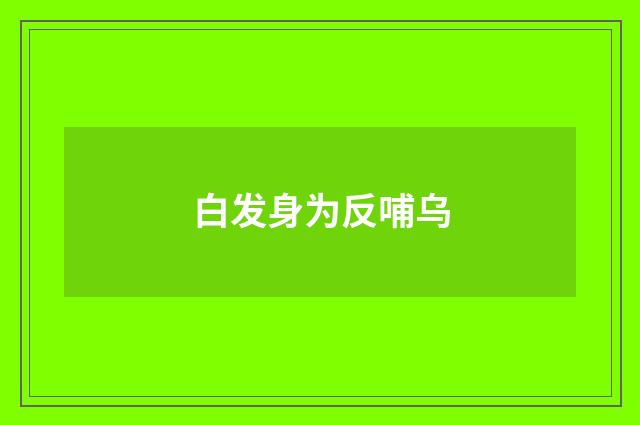 白发身为反哺乌