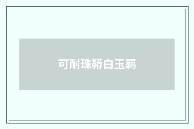 可耐珠鞯白玉羁