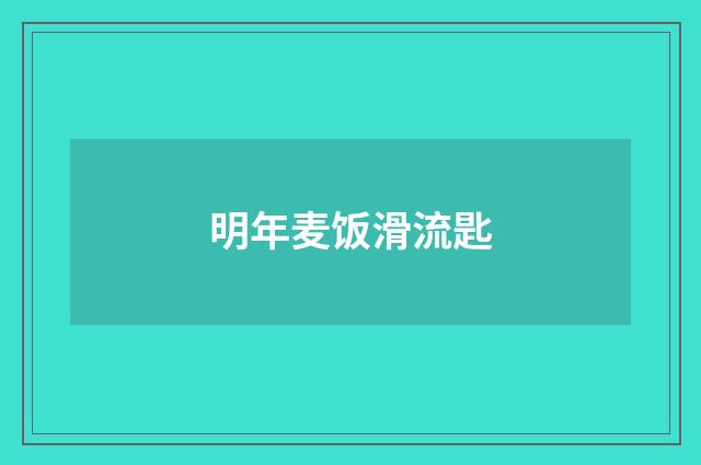 明年麦饭滑流匙