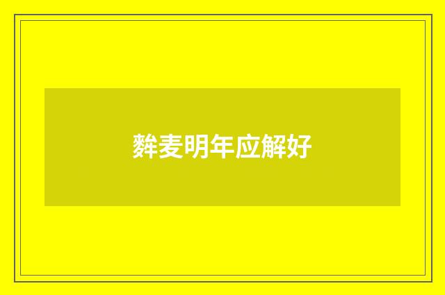 麰麦明年应解好