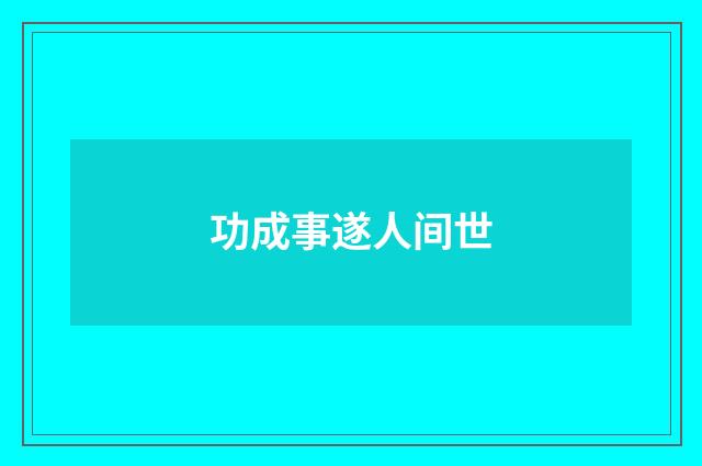 功成事遂人间世