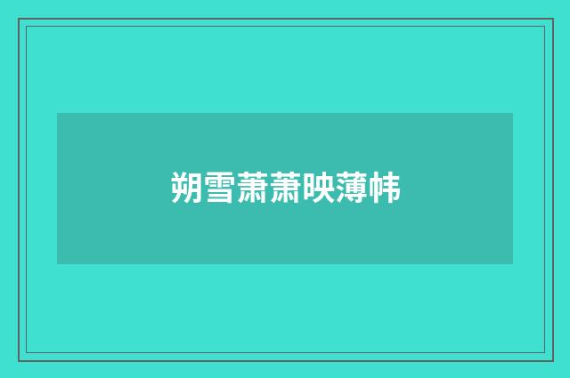 朔雪萧萧映薄帏