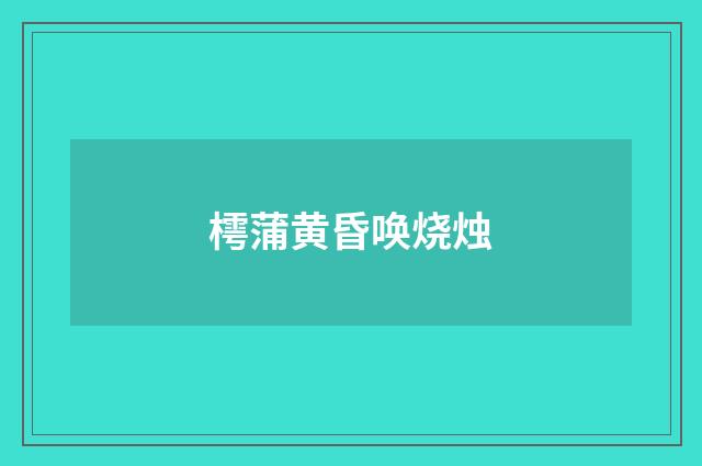 樗蒲黄昏唤烧烛