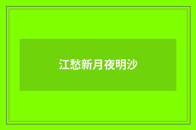 江愁新月夜明沙