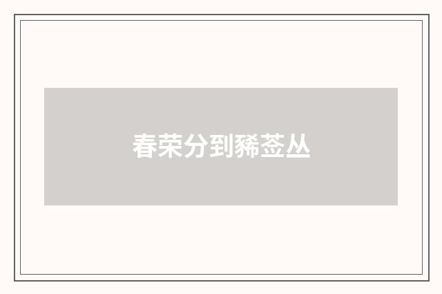 春荣分到豨莶丛