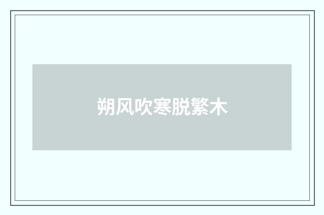 朔风吹寒脱繁木