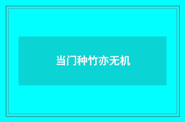 当门种竹亦无机