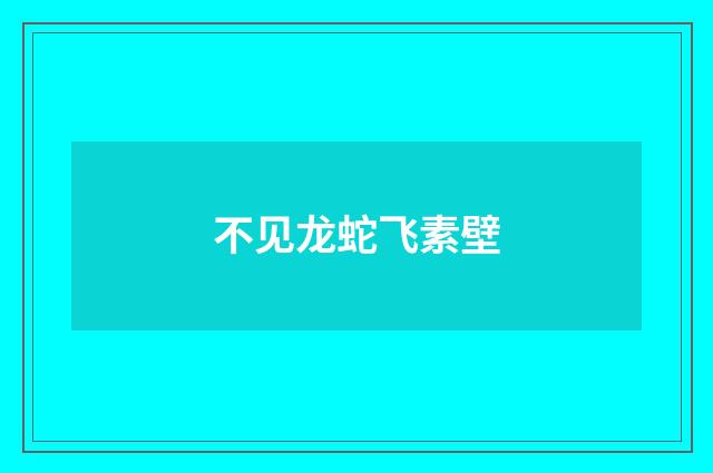 不见龙蛇飞素壁