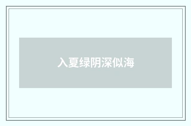 入夏绿阴深似海