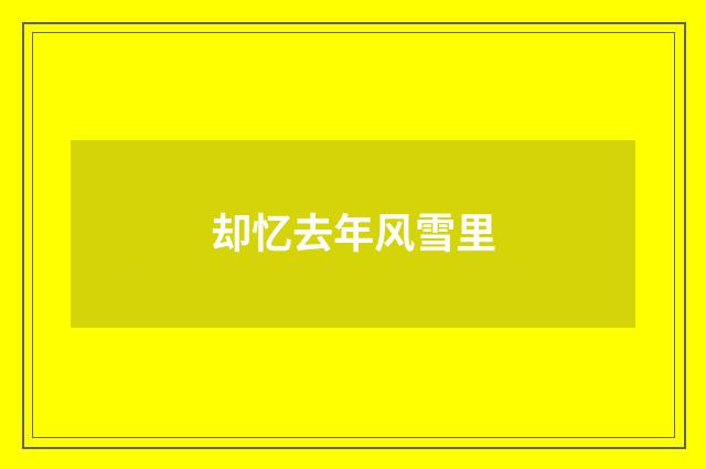 却忆去年风雪里