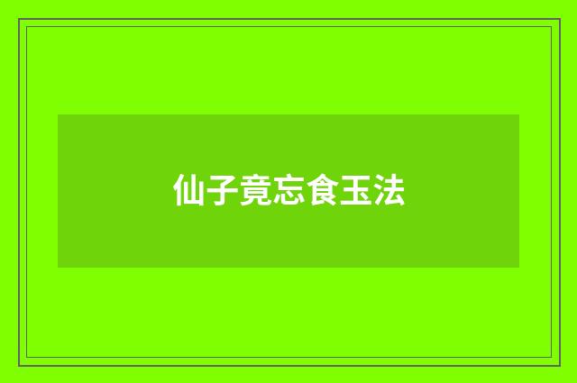 仙子竟忘食玉法