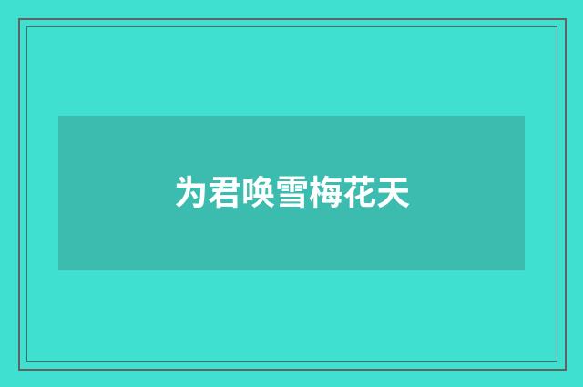 为君唤雪梅花天
