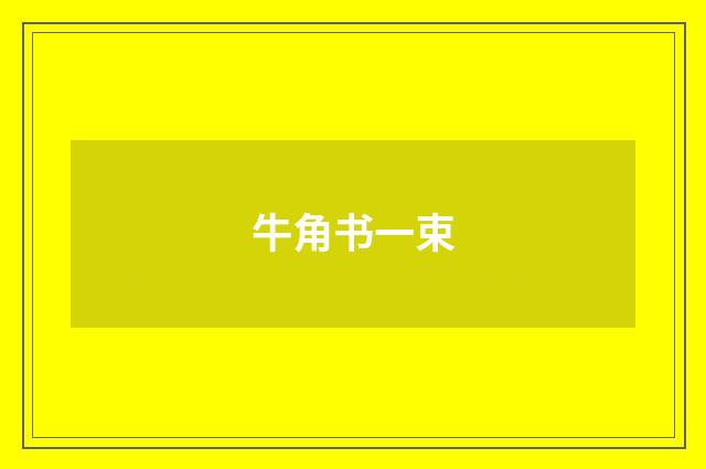 牛角书一束