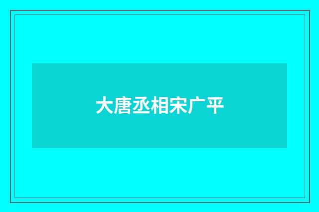 大唐丞相宋广平