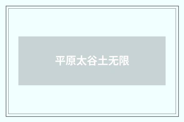 平原太谷土无限