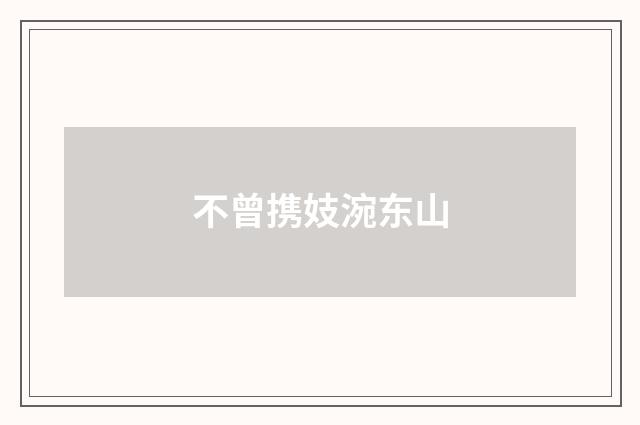 不曾携妓涴东山