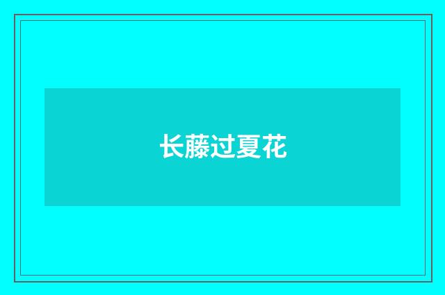 长藤过夏花
