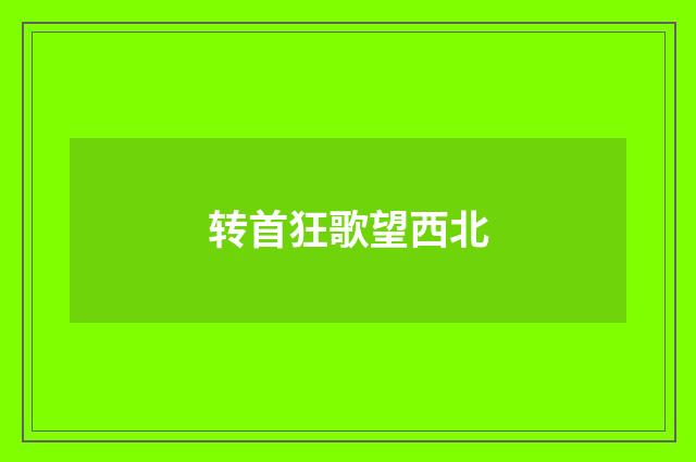 转首狂歌望西北