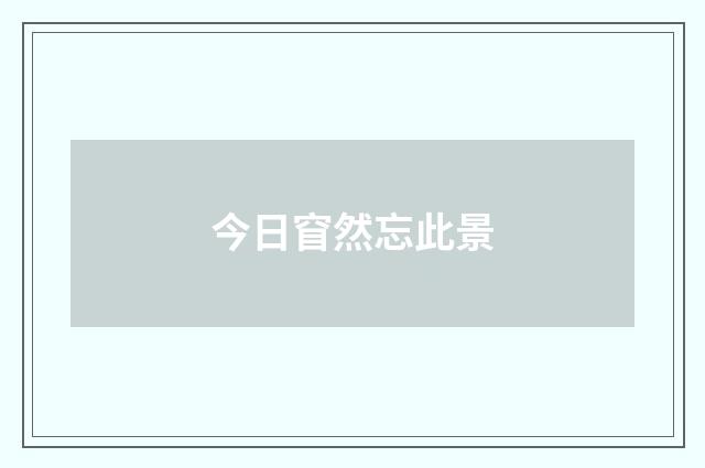 今日窅然忘此景