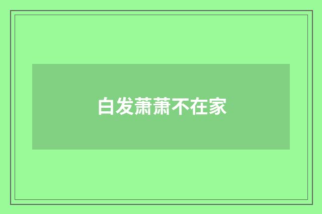 白发萧萧不在家