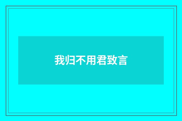 我归不用君致言