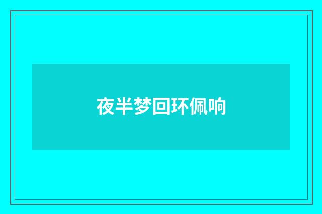 夜半梦回环佩响