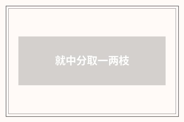 就中分取一两枝